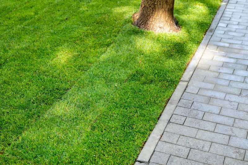 Paved Walkway Installation